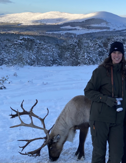 Evie Hunter with a reindeer in the snow in the Cairngorm Mountains.